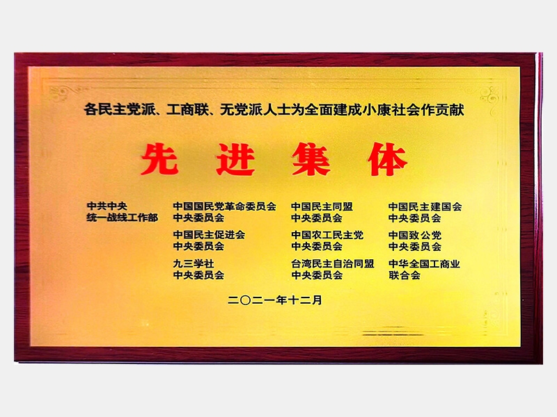 各民主黨派、工商聯(lián)、無黨派人士為全面建成小康社會作貢獻(xiàn)先進(jìn)集體